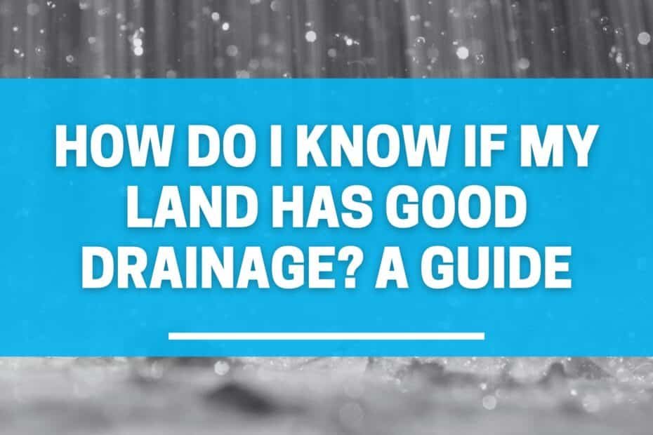 How Do I Know If My Land Has Good Drainage? A Guide