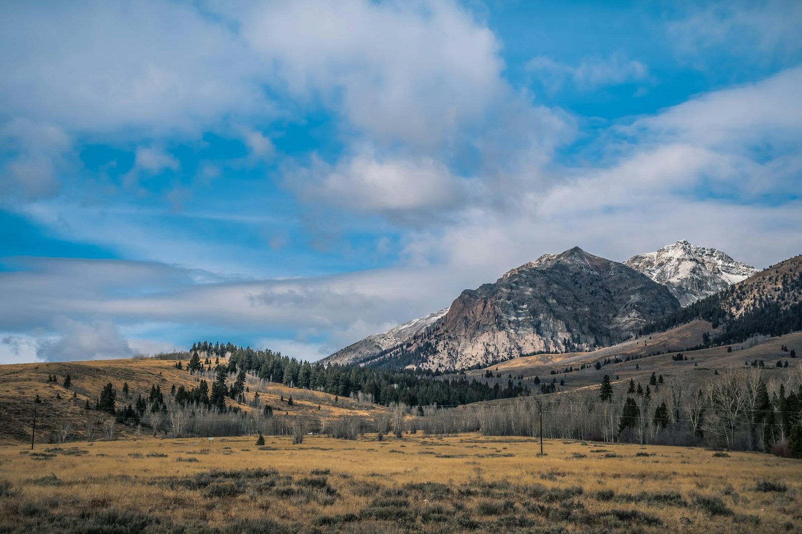 clear open field under blue sky, land in Idaho